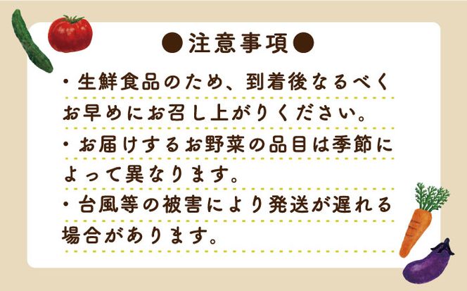 地元の農家さんが収穫した旬のお野菜詰合せセット 10品目以上  / 南島原市 / ミナサポ [SCW022]