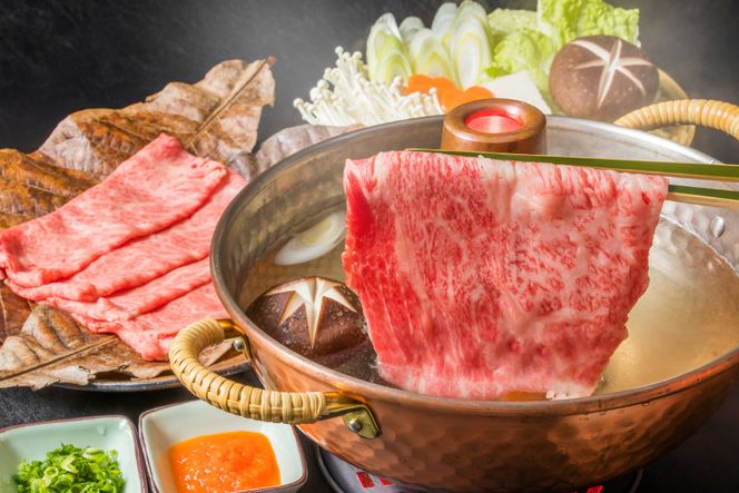 【3回 定期便 】 博多和牛 A4以上 満喫セット 総計1.75kg / MEAT PLUS / 福岡県 筑紫野市 [21760276] 牛肉 和牛 黒毛和牛 冷凍