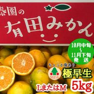 ちょっと 傷あり 極早生 みかん 有田 L または M サイズ 5kg 南泰園    BS616