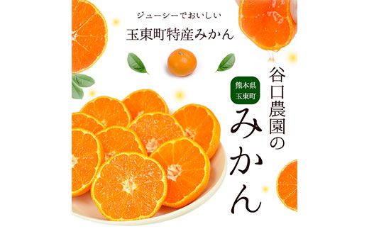 ご家庭用『谷口農園』のみかん★約10kg(2S-2Lサイズ) 予約受付中 フルーツ 旬★熊本県玉名郡玉東町 ミネラルたっぷり竹パウダーの土で育つ甘～いみかん♪ちょこっと訳あり《11月-12月出荷(土日祝除く)》---sg_wtanimkn_bc11_23_10000_10kg---