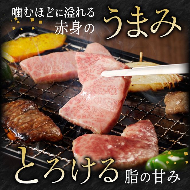 y{茧sz{苍㋉ē900g(450g×2߯) N061-YD0201
