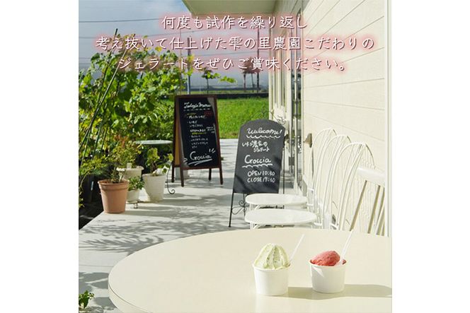 いちごよりいちごを感じるジェラート＆季節のおすすめ 12個入り