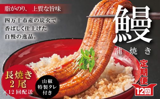 yml\szR6-1061Dy12ցzy݊ 12Al\HiȂ 2^ab