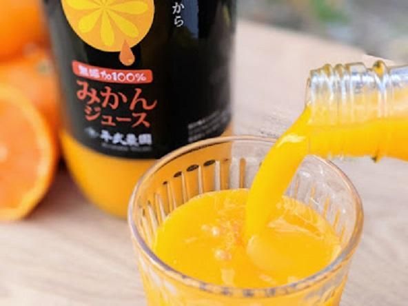 無添加100％みかんジュース2本セット【平武農園】～蛍飛ぶ町から旬の便り～ BX35