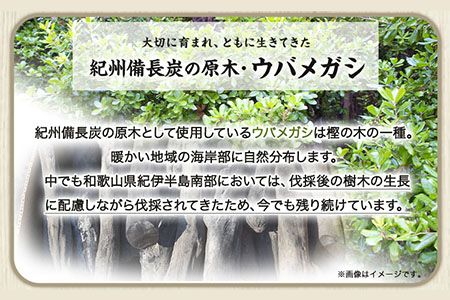 備長炭の木酢液 1000ml×10本 株式会社紀 《30日以内に出荷予定(土日祝除く)》 和歌山県 日高川町 消毒 園芸 木酢液 備長炭 炭---wshg_hjm5_30d_23_19000_10p---