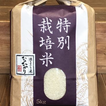 【令和5年度産】奈良県産　特別栽培米　ひのひかり　10kg（5kg×2）// お米 ひのひかり お米 広陵町