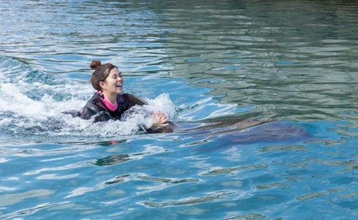 ドルフィンスイム１名（５歳以上小学生） dr013