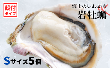 【のし付き】海士のいわがき 新鮮クリーミーな高級岩牡蠣 殻付きSサイズ×５個