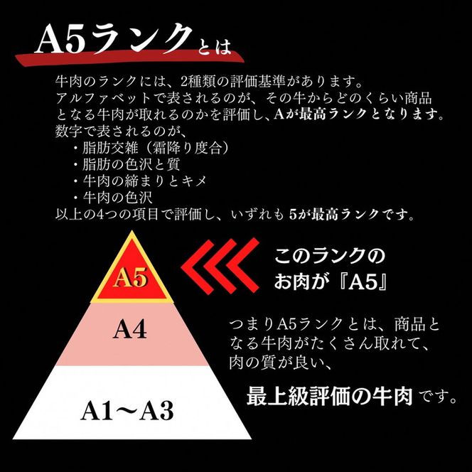 京都府産 黒毛和牛 ロース スライス 500g A4・A5 + ピリ辛ぽん酢 セット【緊急支援】京の肉 ひら山厳選《訳あり コロナ支援 和牛 牛肉 熟成》