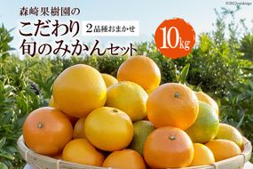 CC003 森崎果樹園のこだわり旬のみかんセット 10kg [みかん ミカン 旬 10キロ 長崎県 島原市]