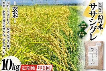 6回 定期便 希少品種米 ササシグレ 玄米 10kg×6回 総計60kg / 長沼 太一 / 宮城県 加美町