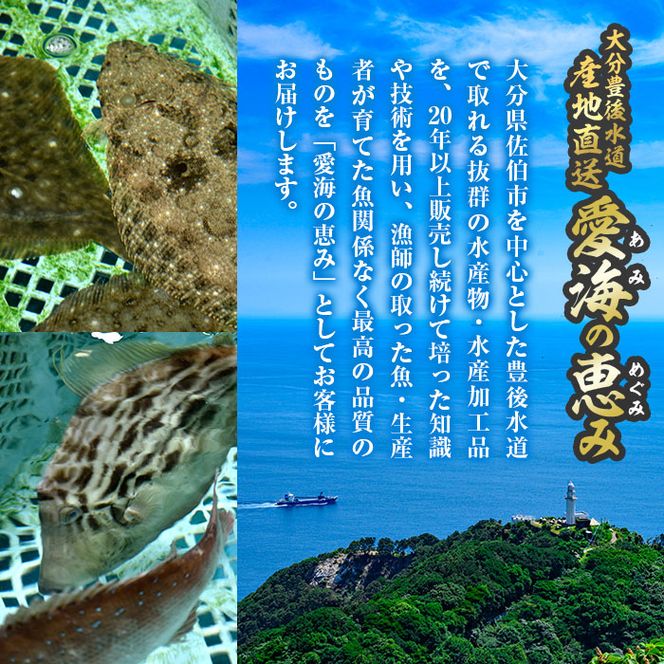 天然 クログチ (約2kg・計2-4本) 直送 産直 漁師 魚 鮮魚 天然 クログチ カマガリ 釜借 白身魚 獲れたて 刺身 煮つけ 塩焼き 冷蔵 豊後水道 鮮魚 大分県 佐伯市 豊後水道 鮮魚 愛海の恵み【CS09】【 (有)丸昌水産】