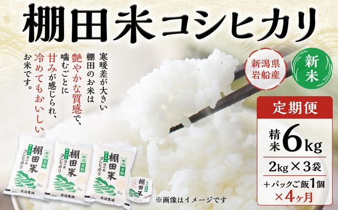 【新米受付・令和6年産米】【定期便：4ヶ月連続でお届け】新潟県岩船産 棚田米コシヒカリ 6kg（2kg×3袋）+パックごはん(150g×1個) ×4ヶ月 1067006N