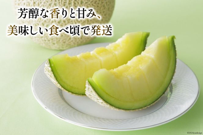 【期間限定発送】AA048 その道一筋の生産者がじっくり丁寧に育てた マスクメロン 2玉入