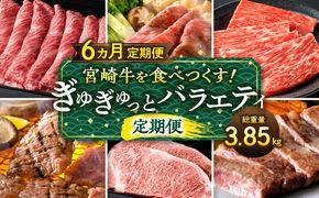 宮崎牛を食べつくす！ぎゅぎゅっとバラエティ定期便(総重量3.85kg)_M132-T002