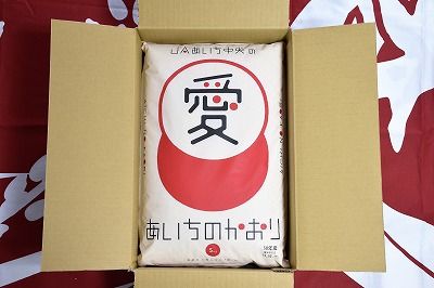 【定期便】愛知県産 あいちのかおり 10kg×12回（計120kg） H017-074