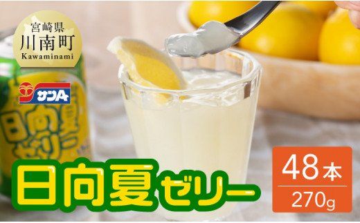 サンA 日向夏 ゼリー (270g缶×48本)[飲料 ゼリー飲料 ゼリー 日向夏果汁 ピューレ 缶 セット ジュース 長期保存 備蓄 送料無料] [F3006]