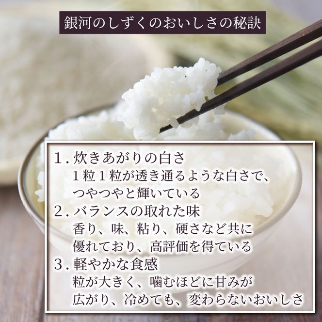  米 定期便 5kg 9ヶ月 精米 一等米 銀河のしずく 岩手県産 ご飯 白米 [56500593_2]
