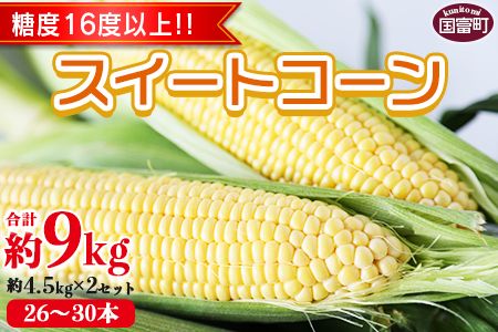 数量限定[2026年発送][宮崎県産 スイートコーン 約9kg(約4.5kg×2箱)]2026年5月下旬〜6月中旬迄に順次出荷[ 先行予約 穀物 野菜 甘い 季節限定 とうもろこし おやつ ご飯 スープ サラダ BBQ 屋台 ][a0451_ja]