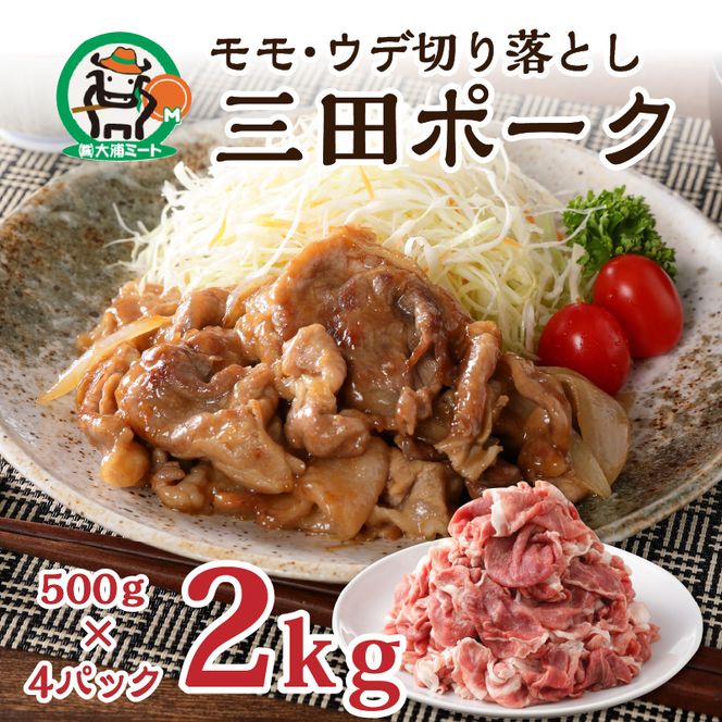 三田ポーク もも・ウデ切り落とし 2kg(500ｇ×4パック)【2401A00209】