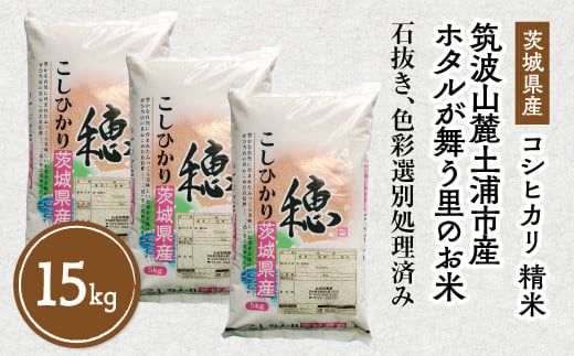令和7年産 特A※評価地区 筑波山麓ホタルの里厳選米コシヒカリ15kg　透き通った大粒米 ※離島への配送不可