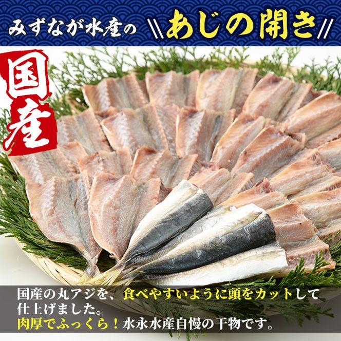 国産あじ開き(24枚・計2.5kg以上)干物 鯵 セット 魚 魚介類 簡単 調理 冷凍【E-18】【水永水産】