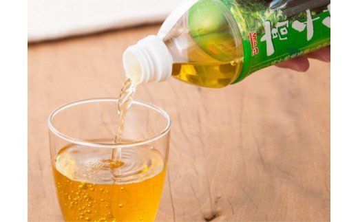 『サンＡ高千穂釜炒り茶』500ml×36本セット [H3010-1]