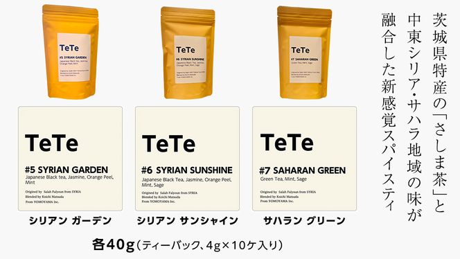 TETE ティーバッグ 三種類 セット ティーパック 猿島茶 さしま茶 スパイスティー お茶 茶 ふるさと納税 12000円 飲み比べ [AF134ya]