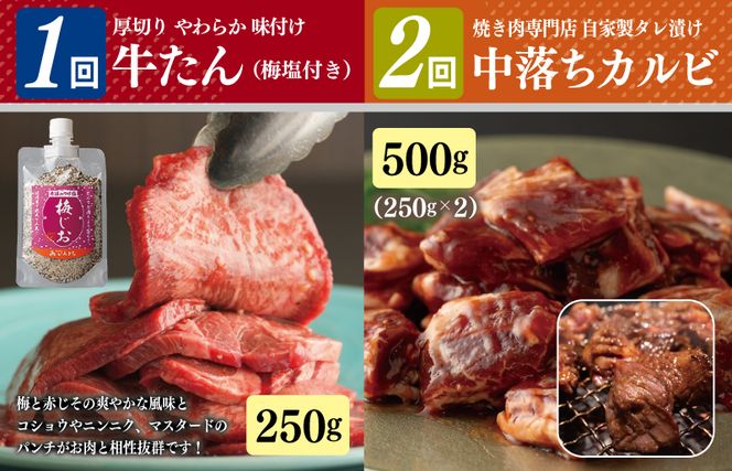 G1369 焼肉専門店厳選 お試し 焼肉 定期便 全4回【毎月配送コース】