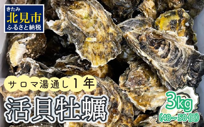 【予約：2024年11月上旬から順次発送】サロマ湖湯通し1年 活貝牡蠣3キロ 40～50個 ( カキ 魚介類 期間限定 3kg )【091-0001-2024】