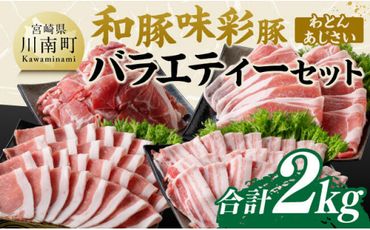 和豚味彩豚 バラエティーセット 合計2kg【 肉 豚肉 国産 宮崎県産 和豚 】[D11421]