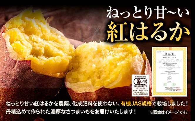 さつまいも 紅はるか 3.5kg 創成アグリ《12月中旬-2月末頃出荷》熊本県 御船町 野菜 芋 さつま いも 焼き芋 有機JAS規格 送料無料---sm_agrimo_bc122_24_9000_3500g---