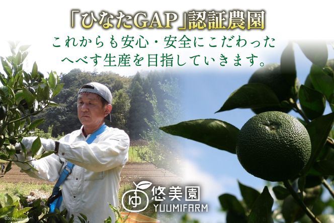 【期間限定発送】 へべす ひなたGAP認定 ふぞろい 2kg [へべすの悠美園 宮崎県 日向市 452060725] ヘベス 宮崎 果物 フルーツ くだもの 柑橘 ポン酢 調味料 果汁