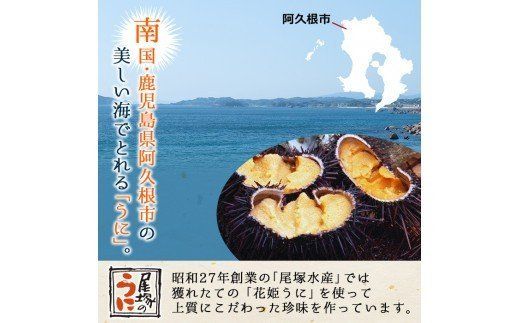 鹿児島県産うに使用！人気のうに珍味 阿久根の五宝海(ごほうび)セット(5瓶) ムラサキウニ 酒好熟うに 粒うに うに味噌 あわびうに いかうに 詰め合わせ 食べ比べ 贈答用 ギフト 贈り物 花姫うに おつまみ ウニ 珍味 国産 鹿児島県産【尾塚水産】a-22-2-z