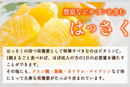 和歌山産 手剥き八朔 缶詰 450g×8缶入り 厳選館 《90日以内に出荷予定(土日祝を除く)》和歌山県 日高川町 はっさく 八朔---wshg_tmt127_90d_24_18000_8k---