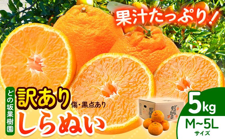 訳あり 不知火 ( デコポン と同品種 ) しらぬい 約 5kg (M〜5Lサイズ) どの坂果樹園[2月上旬-4月上旬頃出荷] 和歌山県 日高川町 しらぬい 不知火 デコポン でこぽん 訳あり不知火 訳ありデコポン 旬 果物 フルーツ 柑橘 産地直送 送料無料---wshg_dsk14_ad24_23_9000_5kg---