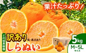 訳あり 不知火 ( デコポン と同品種 ) しらぬい 約 5kg (M～5Lサイズ) どの坂果樹園《2月上旬-4月上旬頃出荷》 和歌山県 日高川町 しらぬい 不知火 デコポン でこぽん 訳あり不知火 訳ありデコポン 旬 果物 フルーツ 柑橘 産地直送 送料無料---wshg_dsk14_ad24_23_9000_5kg---