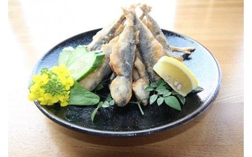 【豆アジ三昧セット】旬の時期の豆アジを揚げちゃいました！４種の味を楽しめる！