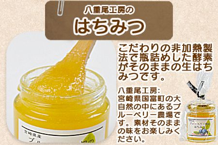 ＜ベーグル プレーン 5個 ＋ はちみつ＞翌月末迄に順次出荷【b0446_kp】