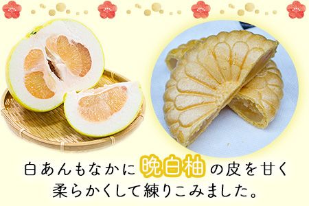 晩白柚もなか 12個入り(6個入り×2箱) 道の駅竜北《30日以内に出荷予定(土日祝除く)》---sh_michimona_30d_23_9000_12k---