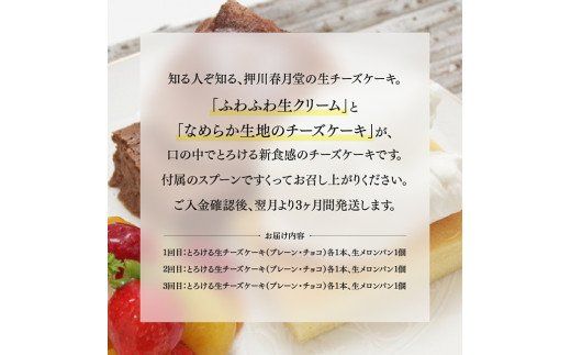 【定期便３ヶ月コース】とろける生チーズケーキ（プレーン・チョコ）+メロンパン [G2701]