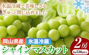 岡山県産 冷蔵 シャインマスカット 2房 (530g以上) 【配送不可地域あり】 《11月中旬-12月末頃に出荷予定(土日祝除く)》 岡山県 矢掛町 マスカット ぶどう 葡萄 氷温冷蔵 果物 フルーツ ---osy_chbf8_bc11_24_24500_2---