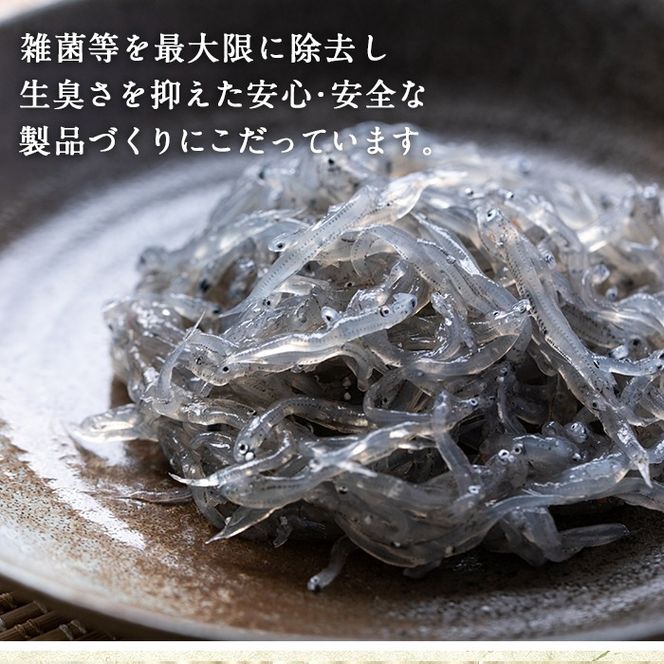 【0113401a】鹿児島県産生しらす(冷凍)(計600g・100g×6パック)シラス 魚 魚介類 小分け 国産 鹿児島 冷凍【東串良町漁業協同組合】