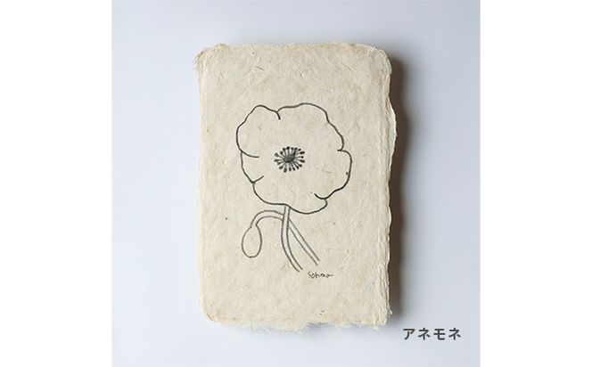 【奏華舎】土佐和紙カード＆染紙封筒セット（ボタニカル / アソート３種）