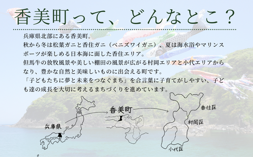 【返礼品なし】兵庫県香美町 ふるさとづくり寄附金（3,000円分） 25-35