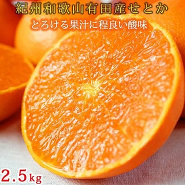 紀州有田産せとか約2.5kg とろける食感!ジューシー柑橘[2025年2月上旬以降発送][先行予約][UT02]XF91017
