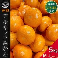 完熟 アルギット みかん 5kg M ～ L サイズ | 年内発送 可 先行予約 みかん 有田みかん 甘い おいしい ジューシー 皮 薄い 完熟 期間限定 フルーツ 果物 人気 おすすめ 高級 こだわり ギフト 旬 お取り寄せ 送料無料 和歌山     DT007