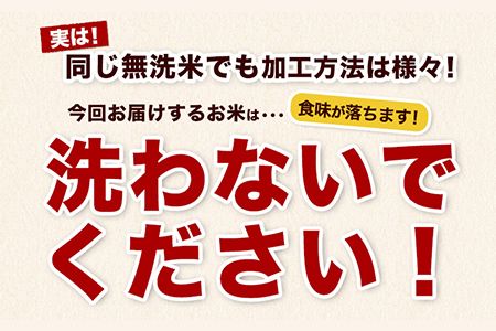 熊本県産 さとほまれ 無洗米 ご家庭用 15kg 5kg×3袋 《11月-12月より出荷予定》熊本県 玉名郡 玉東町 米 こめ コメ ブレンド米 送料無料---gkt_sthml_af11_24_26500_15kg---