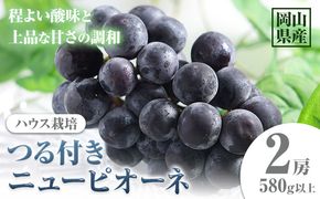 【先行予約】 岡山県産 つる付きニューピオーネ 2房 580g以上 ハウス栽培 葡萄 果物 厳選出荷 スイーツ フルーツ デザート 岡山県矢掛町《7月上旬-8月下旬頃に出荷予定(土日祝除く)》 種なしぶどう 【配送不可地域あり】---osy_chbf16_ak7_25_23000_2---