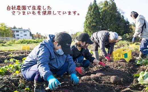 【ぶどうの森】（訳あり）平干しほしいもの配送不可（400g×2袋） ｜ 国産 野菜 サツマイモ さつまいも ほしいも 干し芋 干しいも ほし芋 800g 訳あり ※2026年1月下旬～7月下旬頃に順次発送予定 ※北海道・沖縄・離島への配送不可